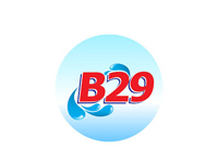 B29